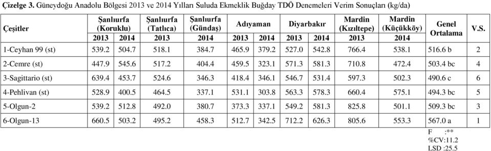 (Kızıltepe) (Küçükköy) 2013 2014 2013 2014 2013 2014 2013 2014 2013 2014 Genel Ortalama 1-Ceyhan 99 (st) 539.2 504.7 518.1 384.7 465.9 379.2 527.0 542.8 766.4 538.1 516.6 b 2 2-Cemre (st) 447.9 545.