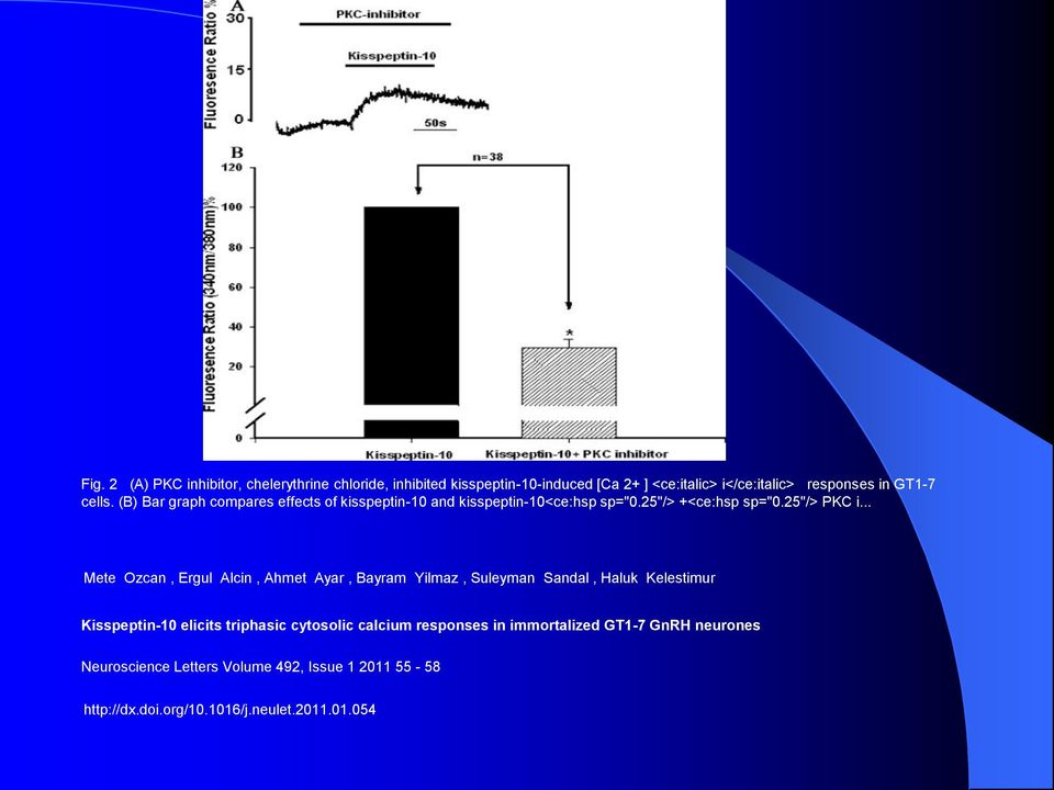 .. Mete Ozcan, Ergul Alcin, Ahmet Ayar, Bayram Yilmaz, Suleyman Sandal, Haluk Kelestimur Kisspeptin-10 elicits triphasic cytosolic