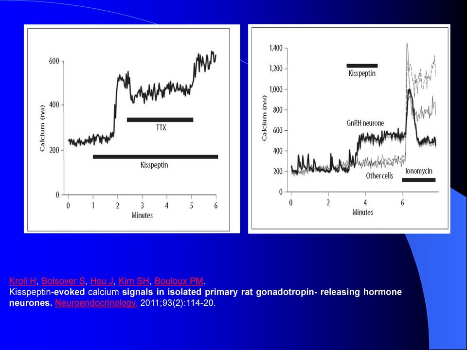 primary rat gonadotropin- releasing hormone