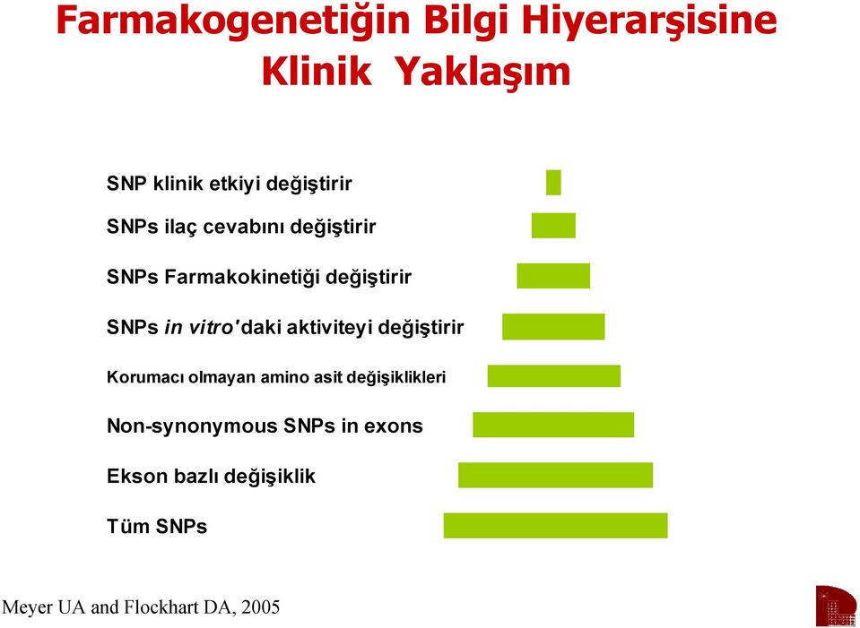 in vitro'daki aktiviteyi değiştirir Korumacı olmayan amino asit değişiklikleri