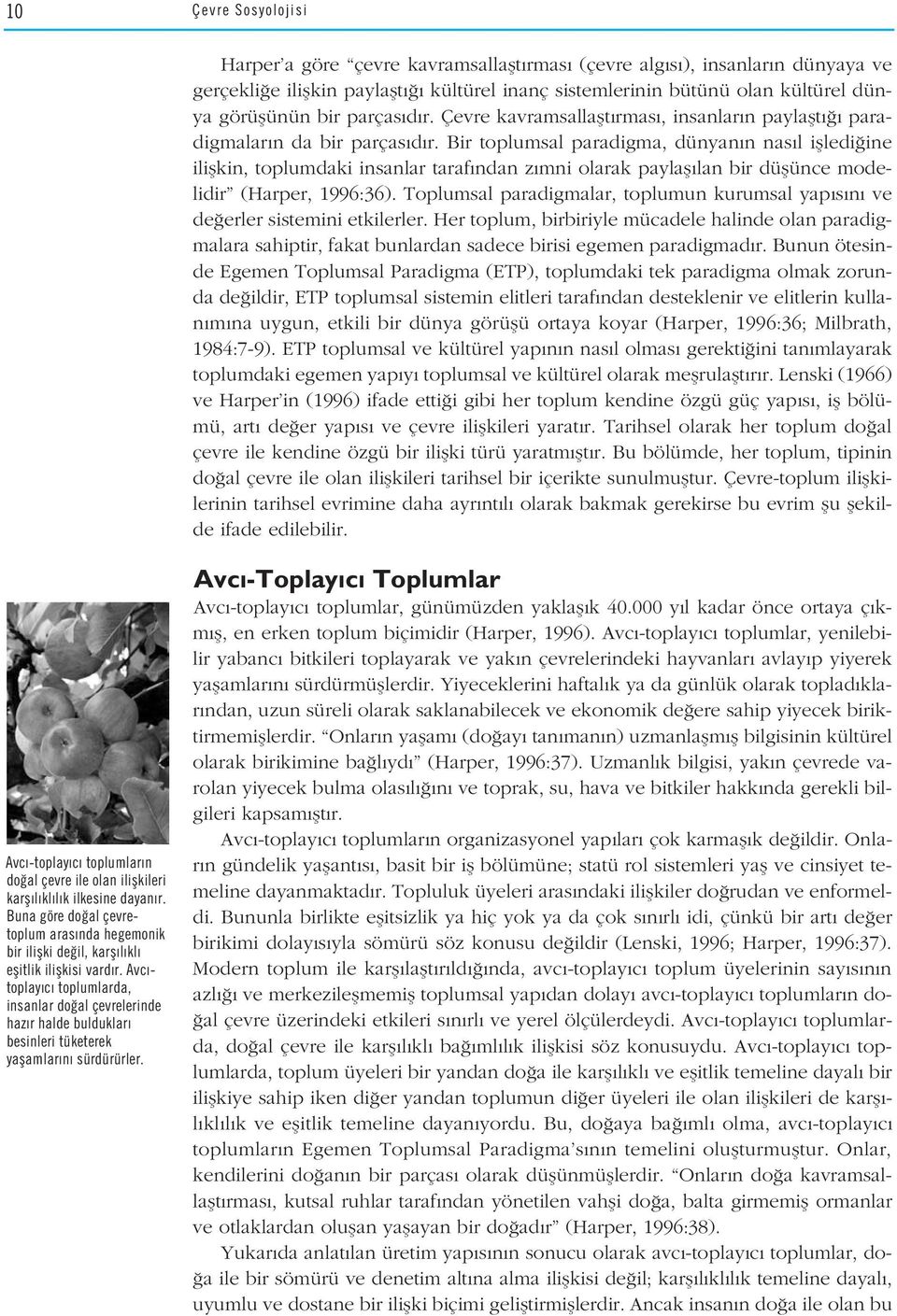 Bir toplumsal paradigma, dünyan n nas l iflledi ine iliflkin, toplumdaki insanlar taraf ndan z mni olarak paylafl lan bir düflünce modelidir (Harper, 1996:36).