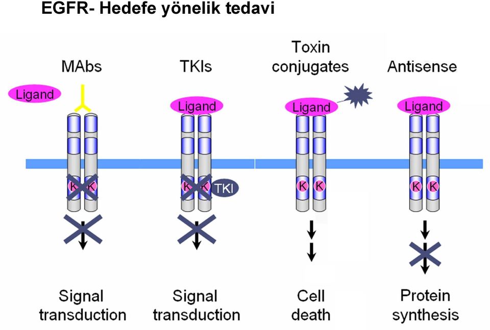 yönelik