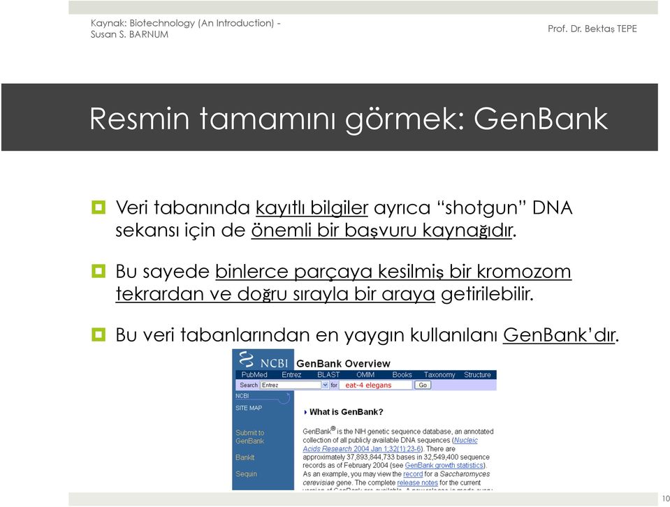 Bu sayede binlerce parçaya kesilmiş bir kromozom tekrardan ve doğru