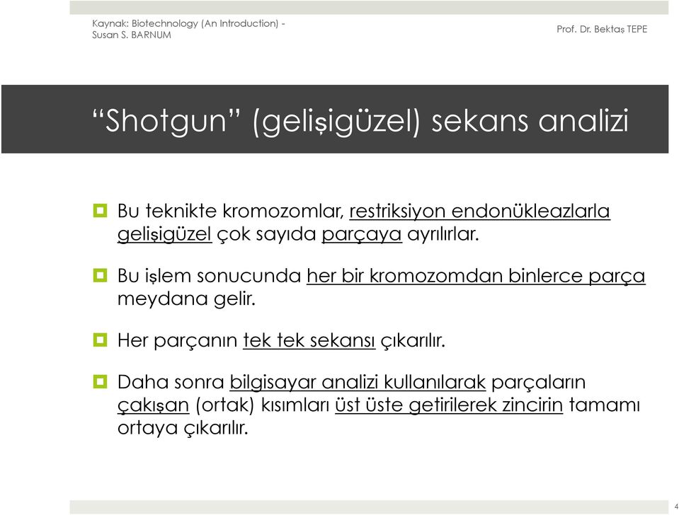 Bu işlem sonucunda her bir kromozomdan binlerce parça meydana gelir.