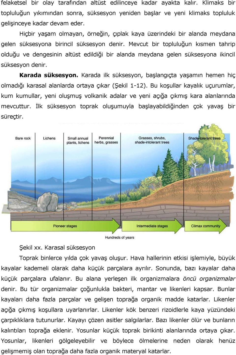 Mevcut bir topluluğun kısmen tahrip olduğu ve dengesinin altüst edildiği bir alanda meydana gelen süksesyona ikincil süksesyon denir. Karada süksesyon.