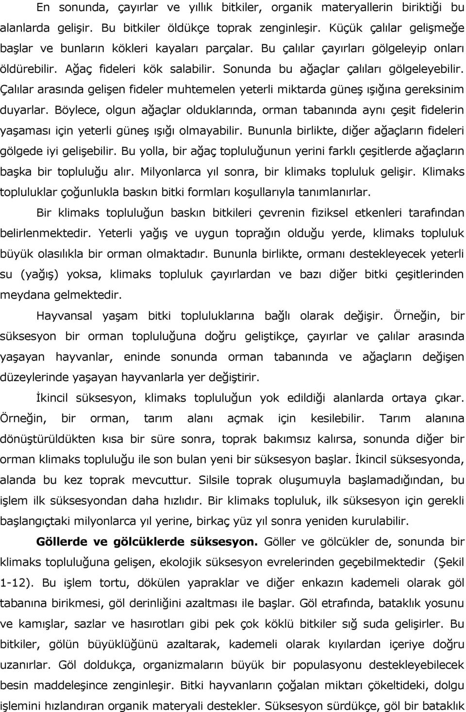 Çalılar arasında gelişen fideler muhtemelen yeterli miktarda güneş ışığına gereksinim duyarlar.