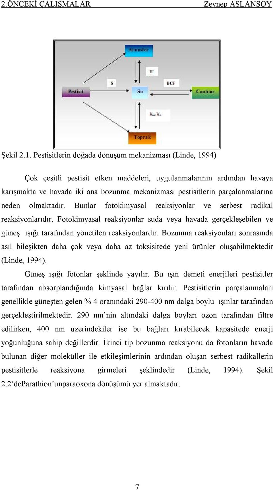 parçalanmalarına neden olmaktadır. Bunlar fotokimyasal reaksiyonlar ve serbest radikal reaksiyonlarıdır.