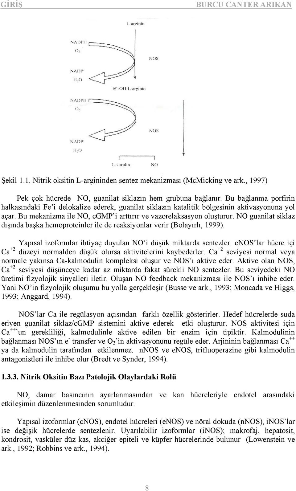 NO guanilat siklaz dışında başka hemoproteinler ile de reaksiyonlar verir (Bolayırlı, 1999). Yapısal izoformlar ihtiyaç duyulan NO i düşük miktarda sentezler.