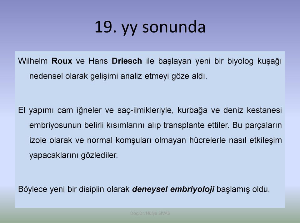 El yapımı cam iğneler ve saç-ilmikleriyle, kurbağa ve deniz kestanesi embriyosunun belirli kısımlarını alıp