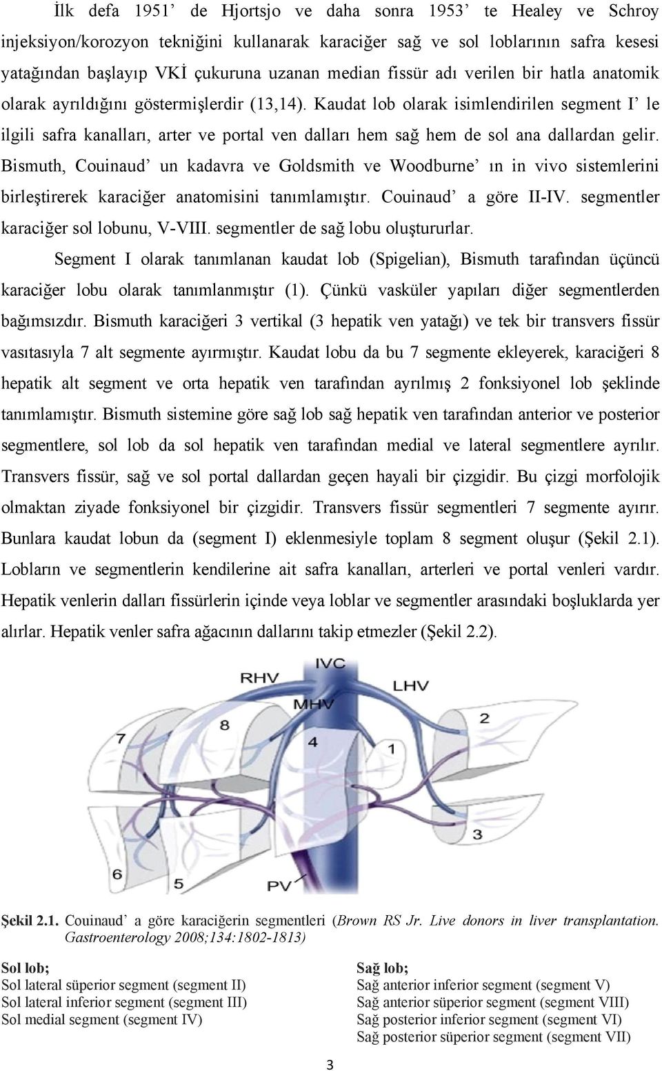 Kaudat lob olarak isimlendirilen segment I le ilgili safra kanalları, arter ve portal ven dalları hem sağ hem de sol ana dallardan gelir.