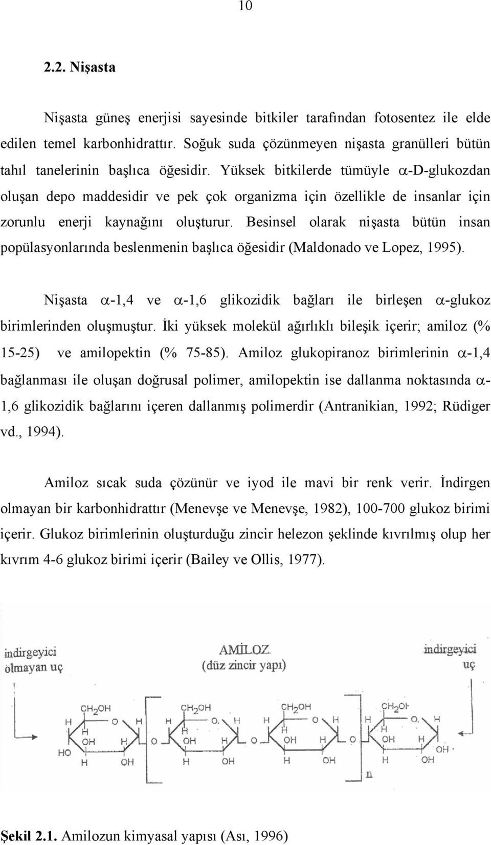 Yüksek bitkilerde tümüyle α-d-glukozdan oluşan depo maddesidir ve pek çok organizma için özellikle de insanlar için zorunlu enerji kaynağını oluşturur.