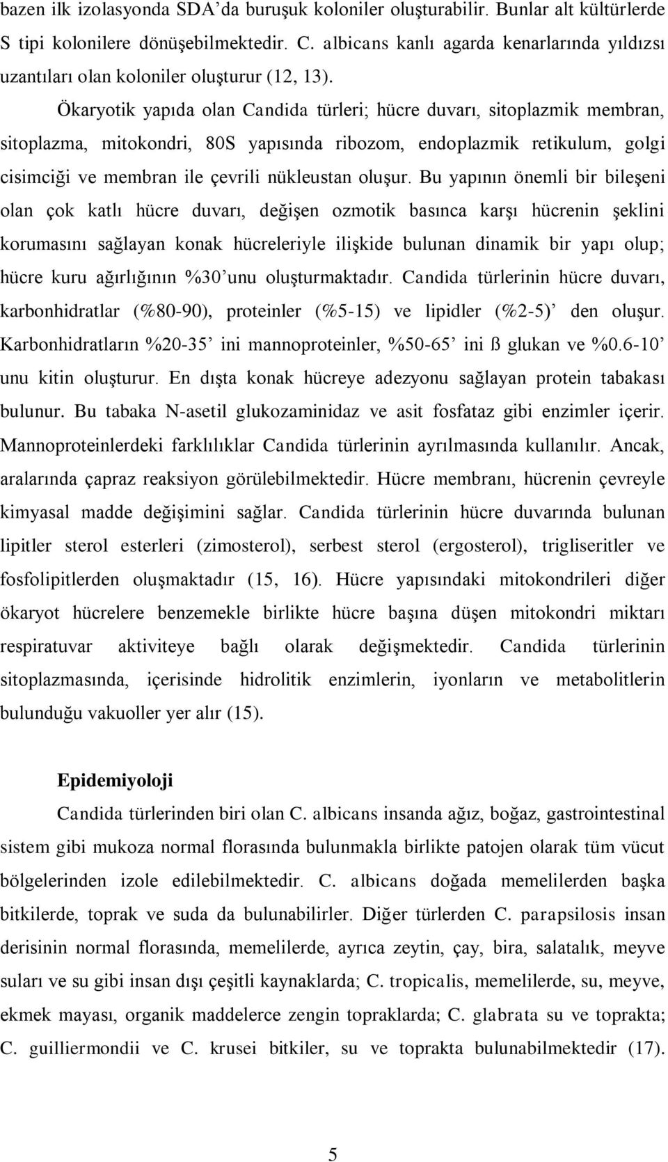 Ökaryotik yapıda olan Candida türleri; hücre duvarı, sitoplazmik membran, sitoplazma, mitokondri, 80S yapısında ribozom, endoplazmik retikulum, golgi cisimciği ve membran ile çevrili nükleustan