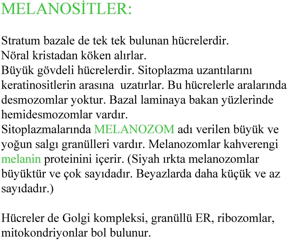 Bazal laminaya bakan yüzlerinde hemidesmozomlar vardır. Sitoplazmalarında MELANOZOM adı verilen büyük ve yoğun salgı granülleri vardır.