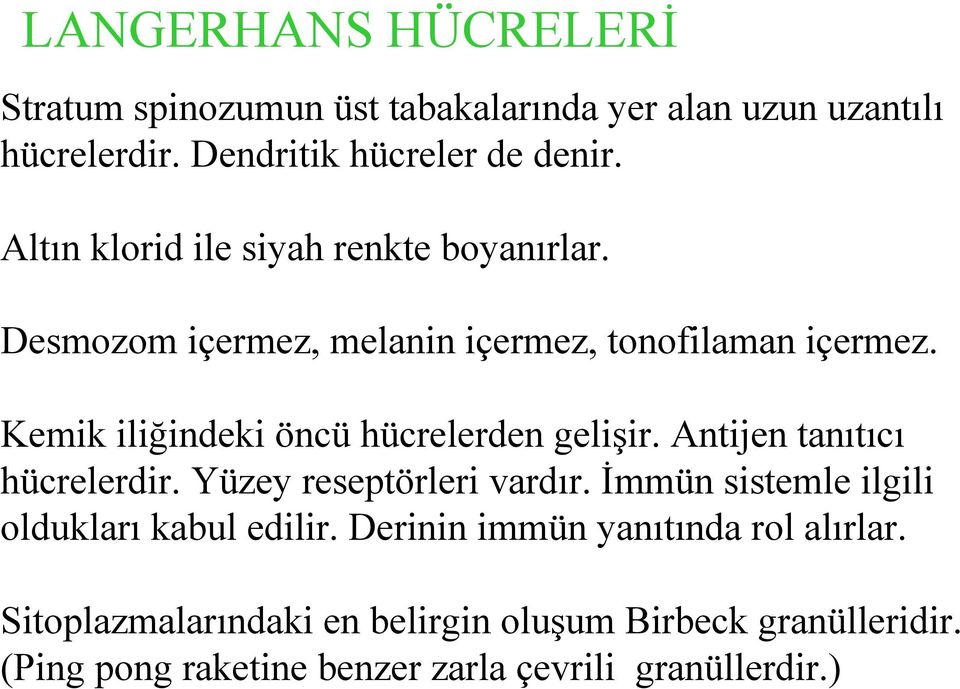 Kemik iliğindeki öncü hücrelerden gelişir. Antijen tanıtıcı hücrelerdir. Yüzey reseptörleri vardır.