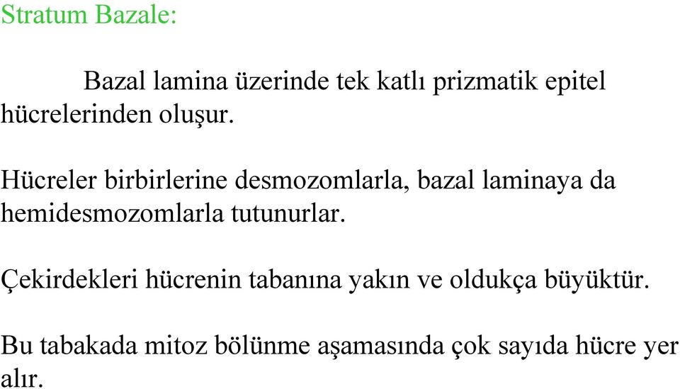 Hücreler birbirlerine desmozomlarla, bazal laminaya da hemidesmozomlarla