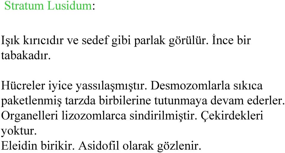 Desmozomlarla sıkıca paketlenmiş tarzda birbilerine tutunmaya devam