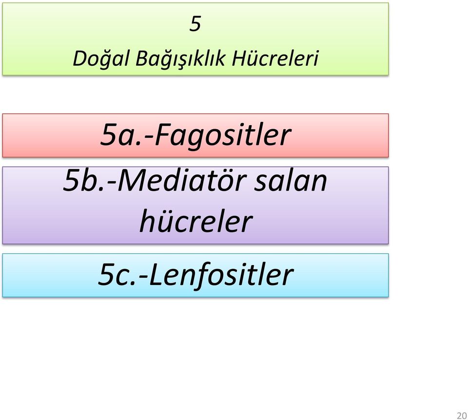 -Fagositler 5b.