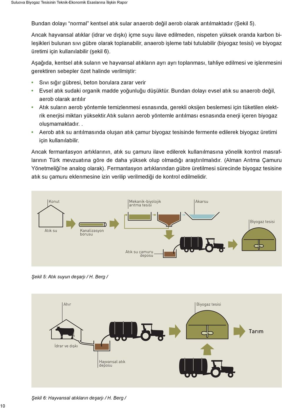 ve biyogaz üretimi için kullanılabilir (şekil 6).