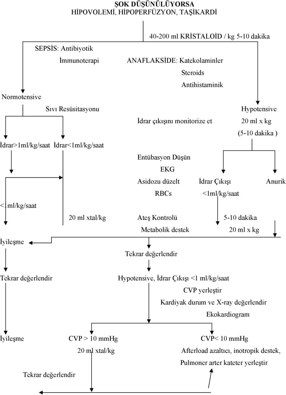 Anurik RBCs <1ml/kg/saat <1ml/kg/saat 20 ml xtal/kg Ateş Kontrolü 5-10 dakika Metabolik destek 20 ml x kg İyileşme Tekrar değerlendir Tekrar değerlendir Hypotensive, İdrar Çıkışı <1