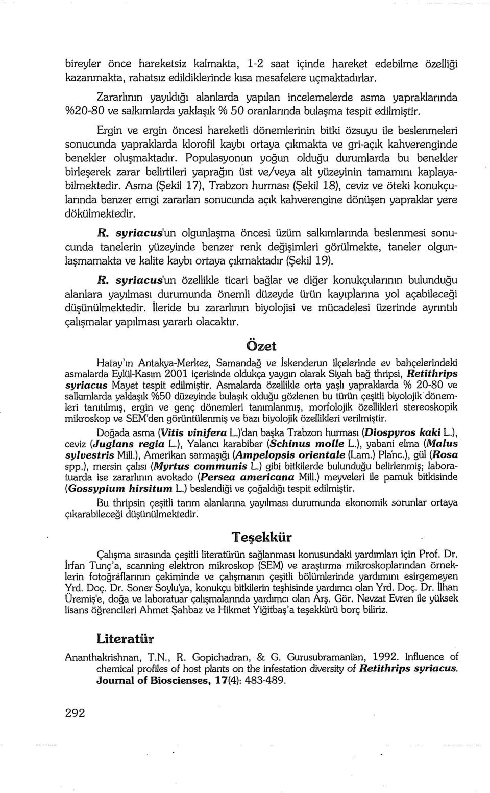 ozsuyu ile beslenrneleri sonucunda yapraklarda klorofil kayb: ortaya cikmakta ve gri-aylk kahverenginde benekler olusmaktadir, Populasyonun yogun olduqu dururnlarda bu benekler birleserek zarar