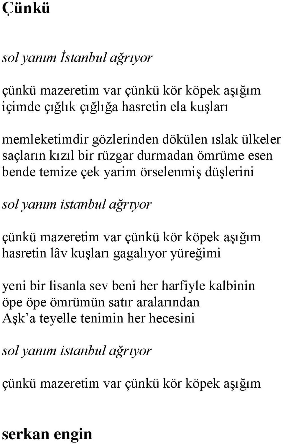 istanbul ağrıyor çünkü mazeretim var çünkü kör köpek aşığım hasretin lâv kuşları gagalıyor yüreğimi yeni bir lisanla sev beni her harfiyle