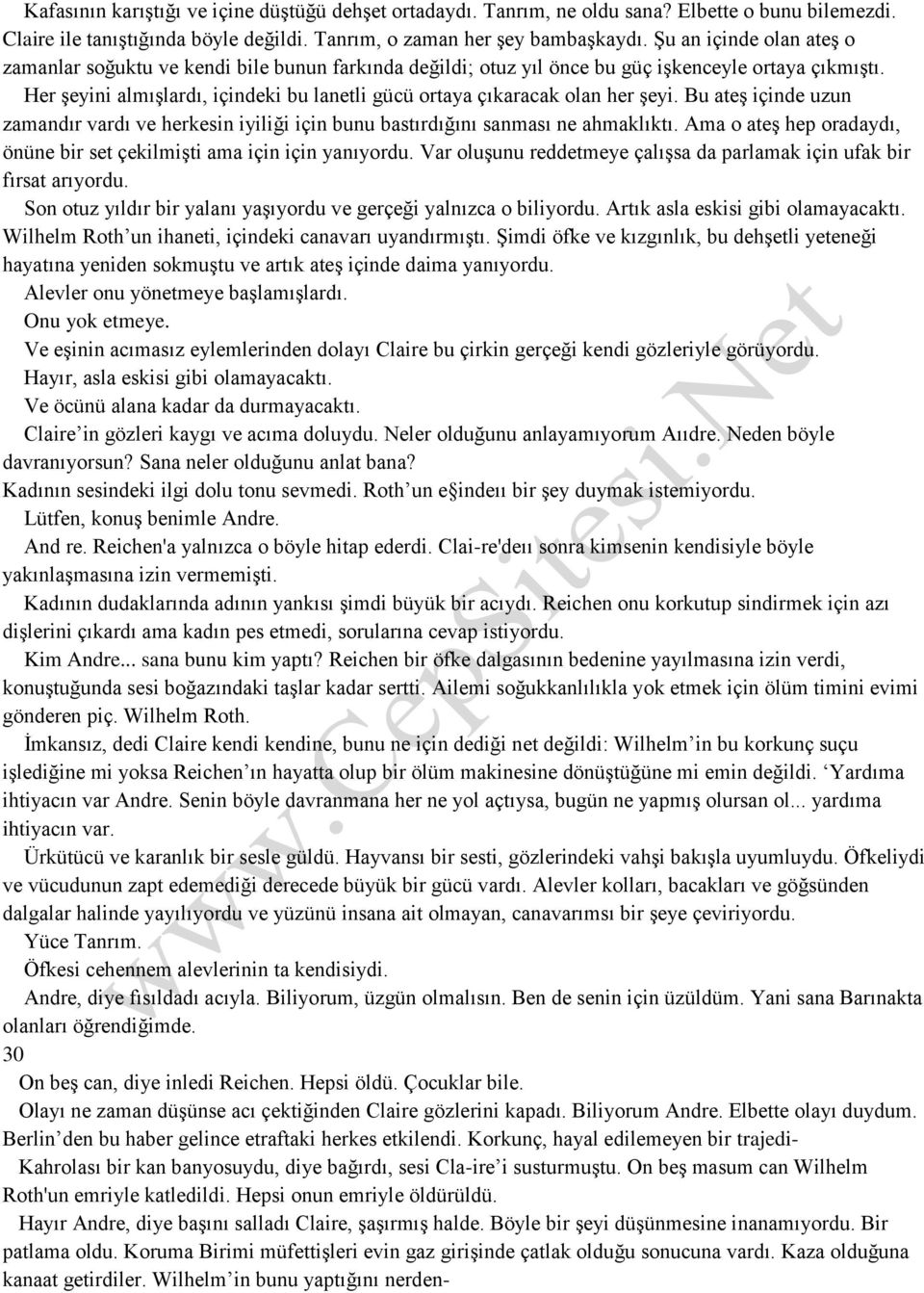 Her şeyini almışlardı, içindeki bu lanetli gücü ortaya çıkaracak olan her şeyi. Bu ateş içinde uzun zamandır vardı ve herkesin iyiliği için bunu bastırdığını sanması ne ahmaklıktı.