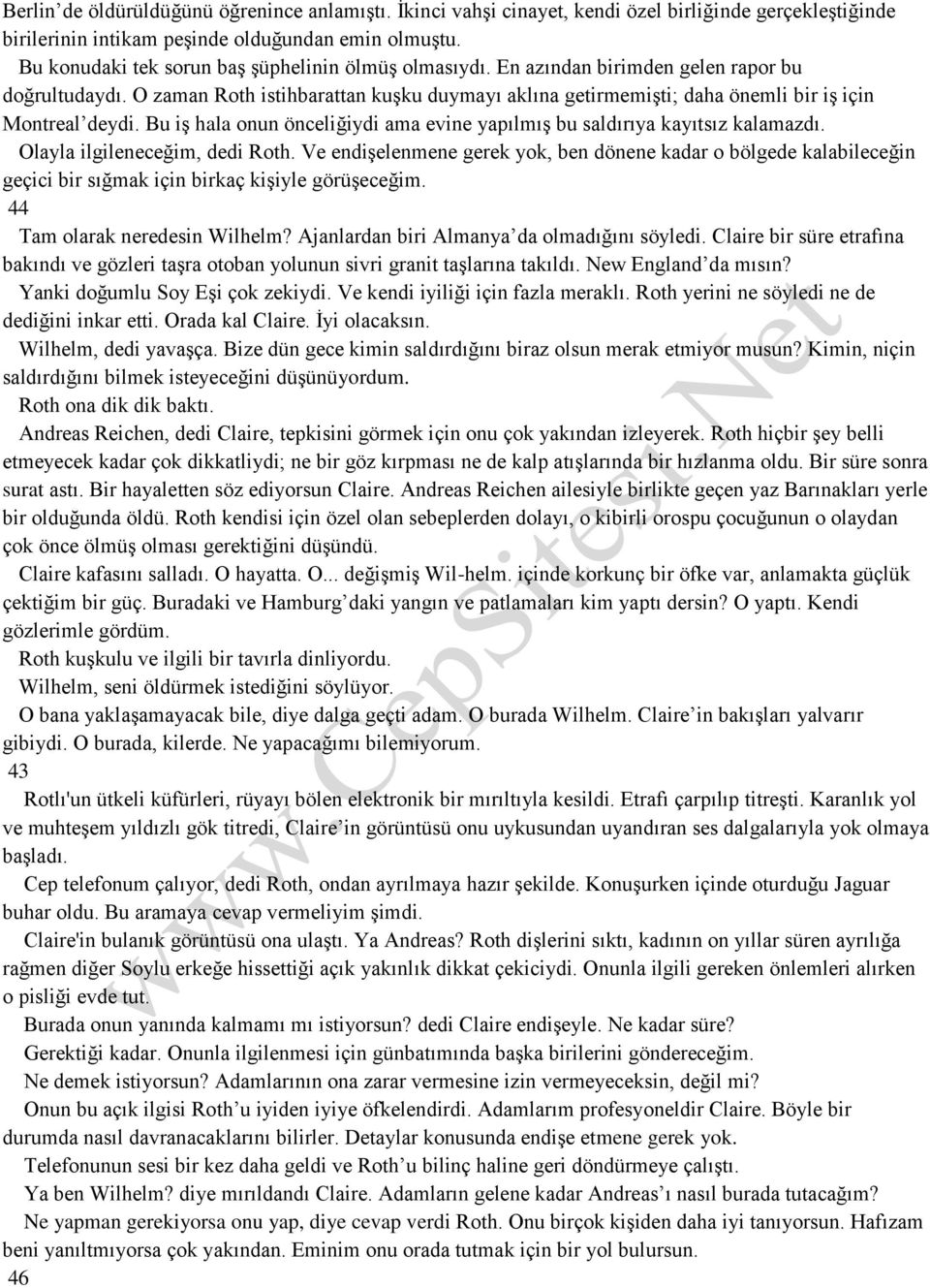 O zaman Roth istihbarattan kuşku duymayı aklına getirmemişti; daha önemli bir iş için Montreal deydi. Bu iş hala onun önceliğiydi ama evine yapılmış bu saldırıya kayıtsız kalamazdı.