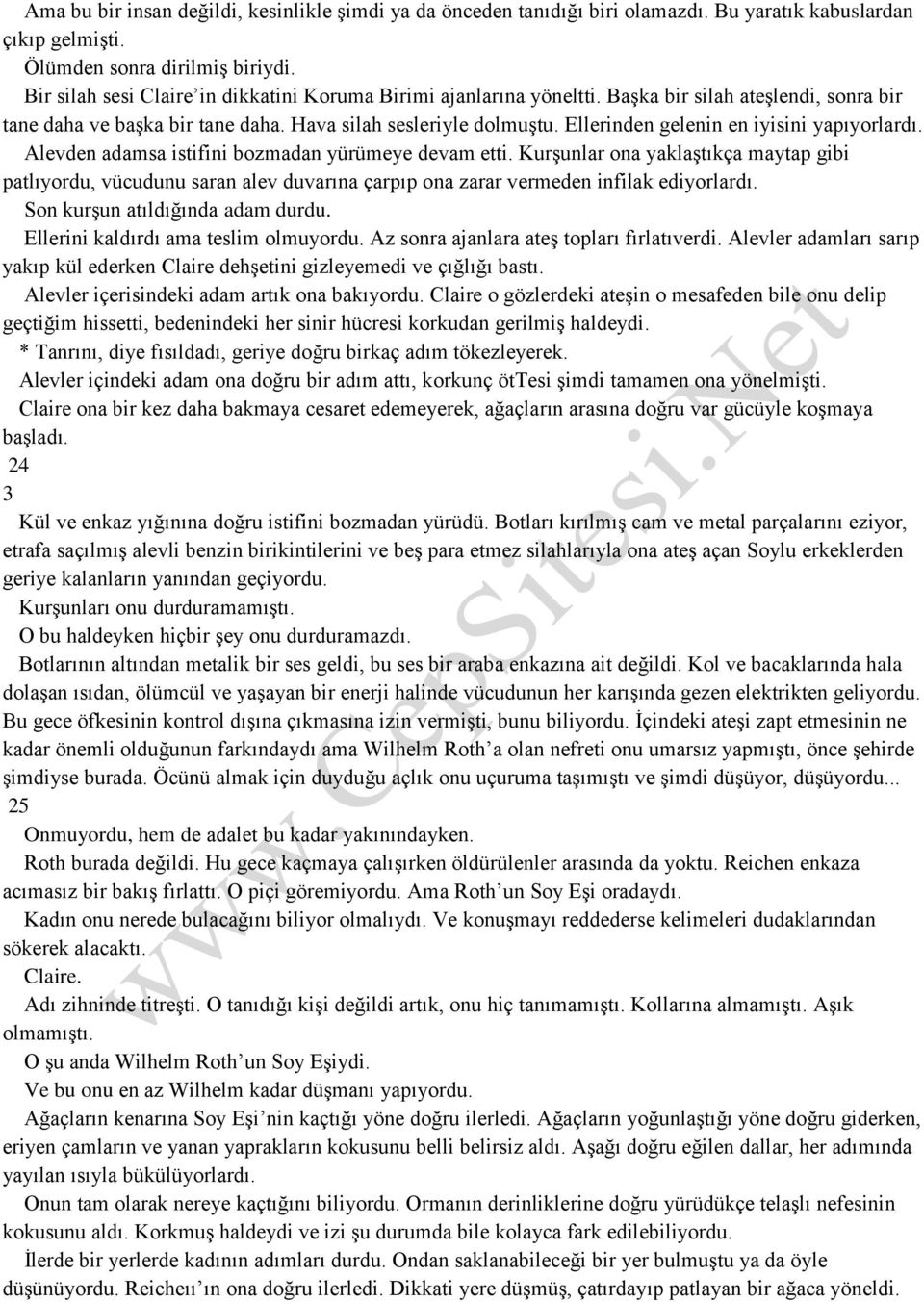 Ellerinden gelenin en iyisini yapıyorlardı. Alevden adamsa istifini bozmadan yürümeye devam etti.