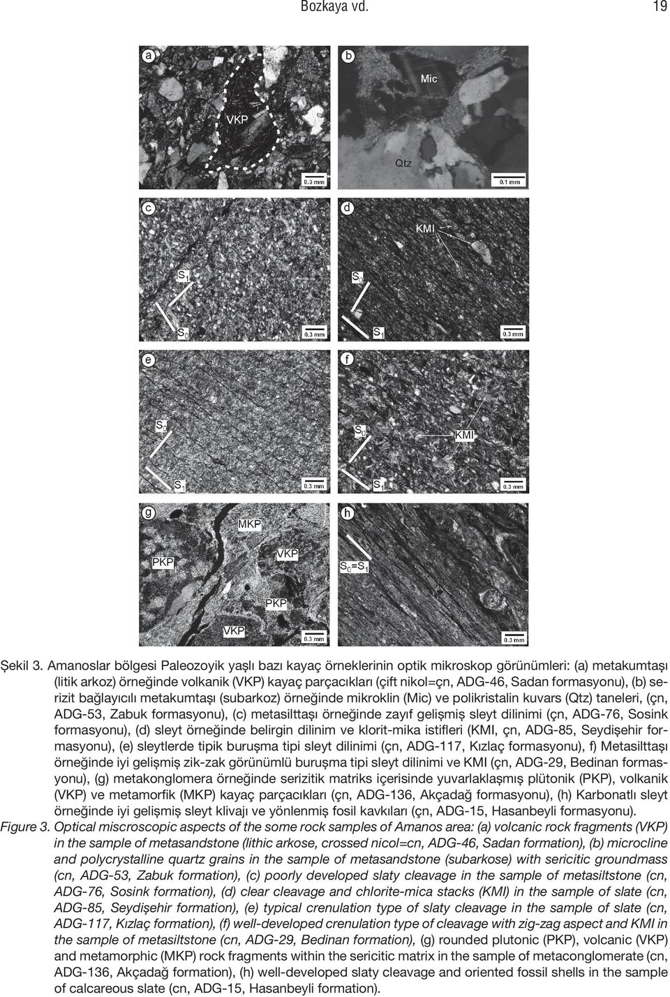formasyonu), (b) serizit bağlayıcılı metakumtaşı (subarkoz) örneğinde mikroklin (Mic) ve polikristalin kuvars (Qtz) taneleri, (çn, ADG-53, Zabuk formasyonu), (c) metasilttaşı örneğinde zayıf gelişmiş
