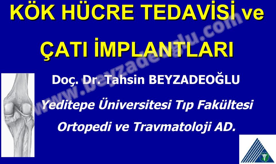 Tahsin BEYZADEOĞLU Yeditepe