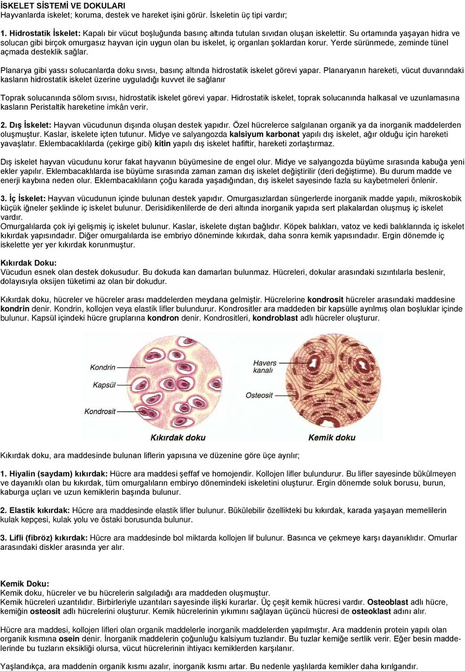 Su ortamında yaşayan hidra ve solucan gibi birçok omurgasız hayvan için uygun olan bu iskelet, iç organları şoklardan korur. Yerde sürünmede, zeminde tünel açmada desteklik sağlar.