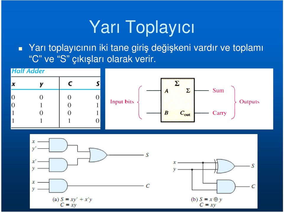 giriş değişkeni vardır ve