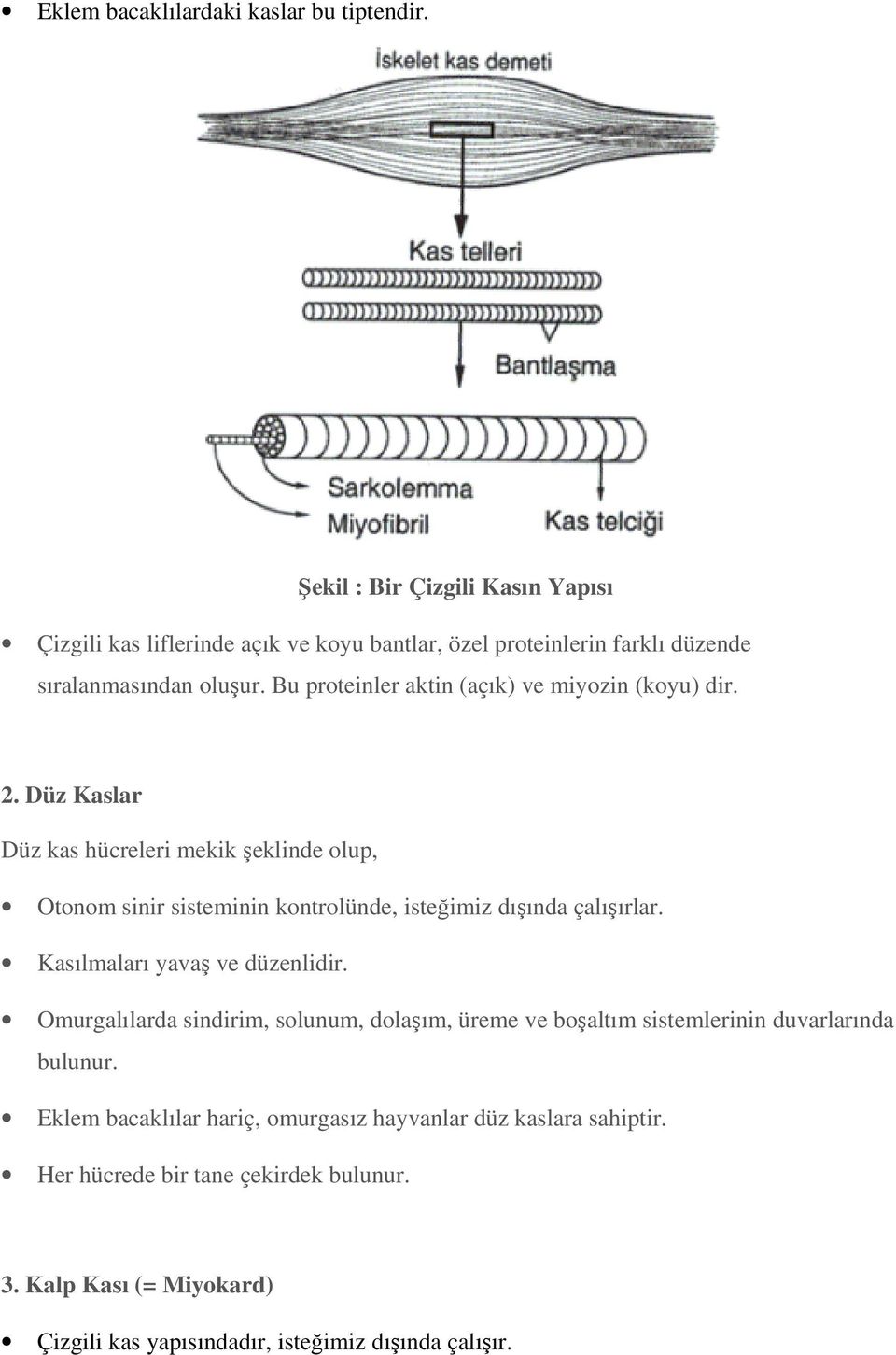 Bu proteinler aktin (açık) ve miyozin (koyu) dir. 2.