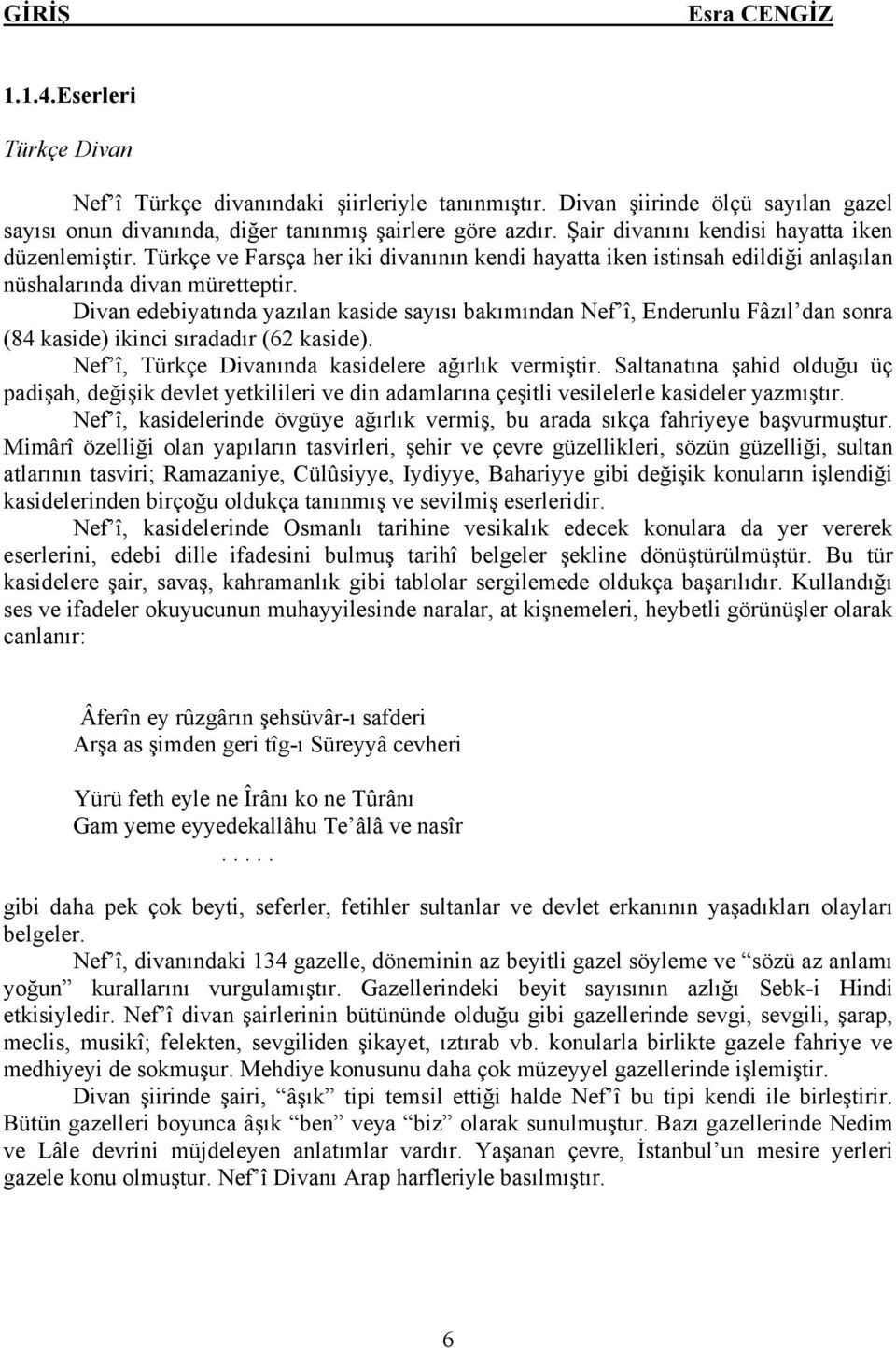 Divan edebiyatında yazılan kaside sayısı bakımından Nef î, Enderunlu Fâzıl dan sonra (84 kaside) ikinci sıradadır (62 kaside). Nef î, Türkçe Divanında kasidelere ağırlık vermiştir.