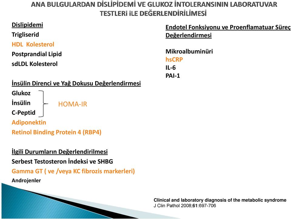 Değerlendirmesi Mikroalbuminüri hscrp IL 6 PAI 1 İlgili Durumların Değerlendirilmesi Serbest Testosteron İndeksi ve SHBG Gamma