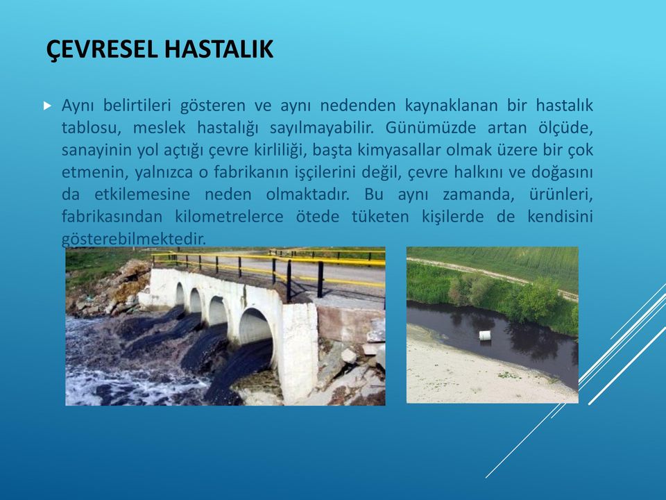 Günümüzde artan ölçüde, sanayinin yol açtığı çevre kirliliği, başta kimyasallar olmak üzere bir çok etmenin,