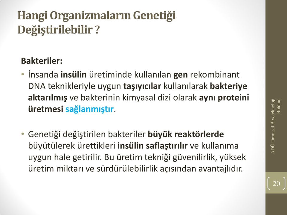 Genetiği değiştirilen bakteriler büyük reaktörlerde büyütülerek ürettikleri insülin saflaştırılır ve kullanıma