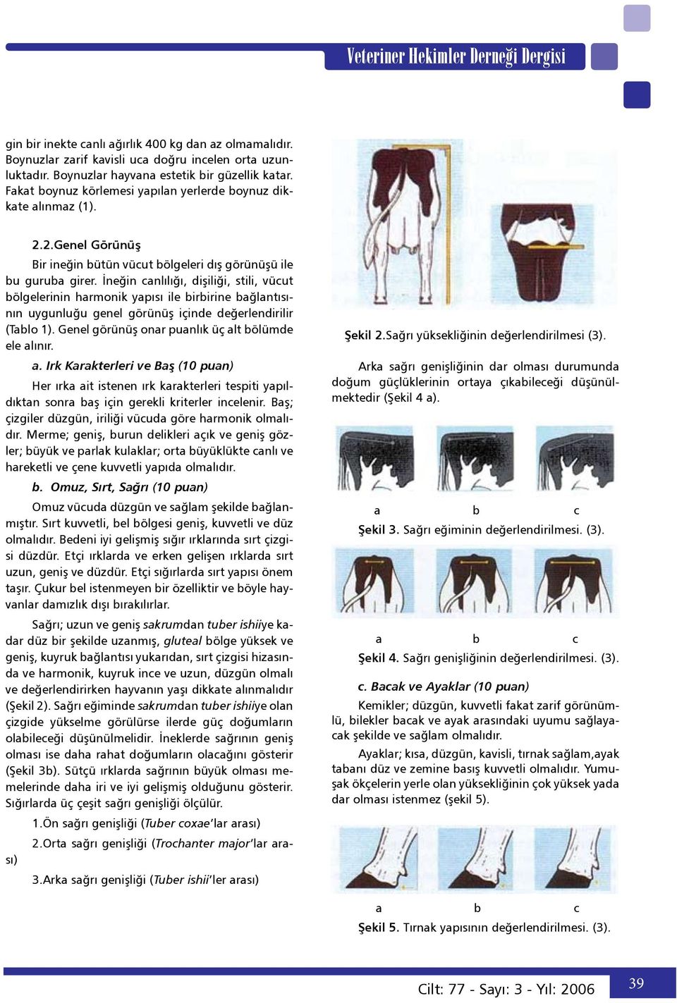 İneğin canlılığı, dişiliği, stili, vücut bölgelerinin harmonik yapısı ile birbirine bağlantısının uygunluğu genel görünüş içinde değerlendirilir (Tablo 1).