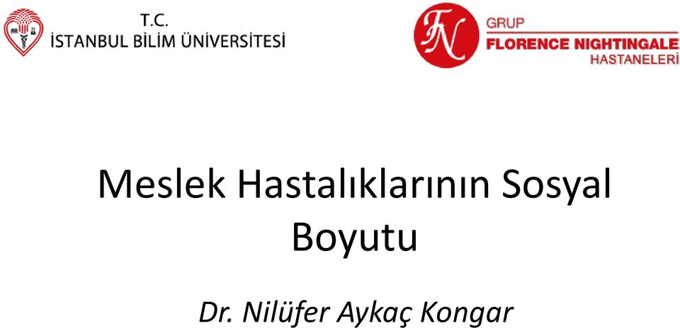 Sosyal Boyutu