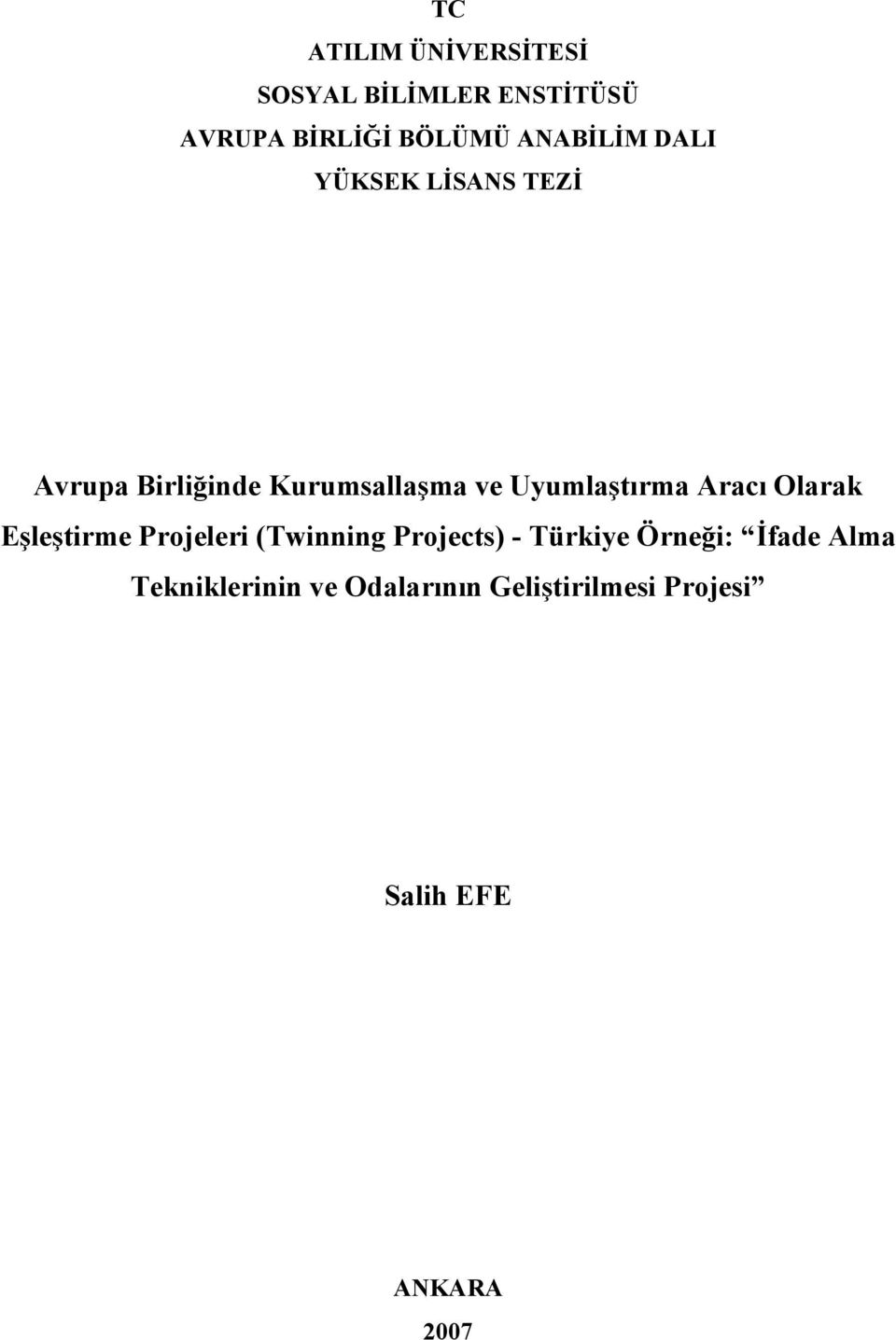 Uyumlaştırma Aracı Olarak Eşleştirme Projeleri (Twinning Projects) - Türkiye