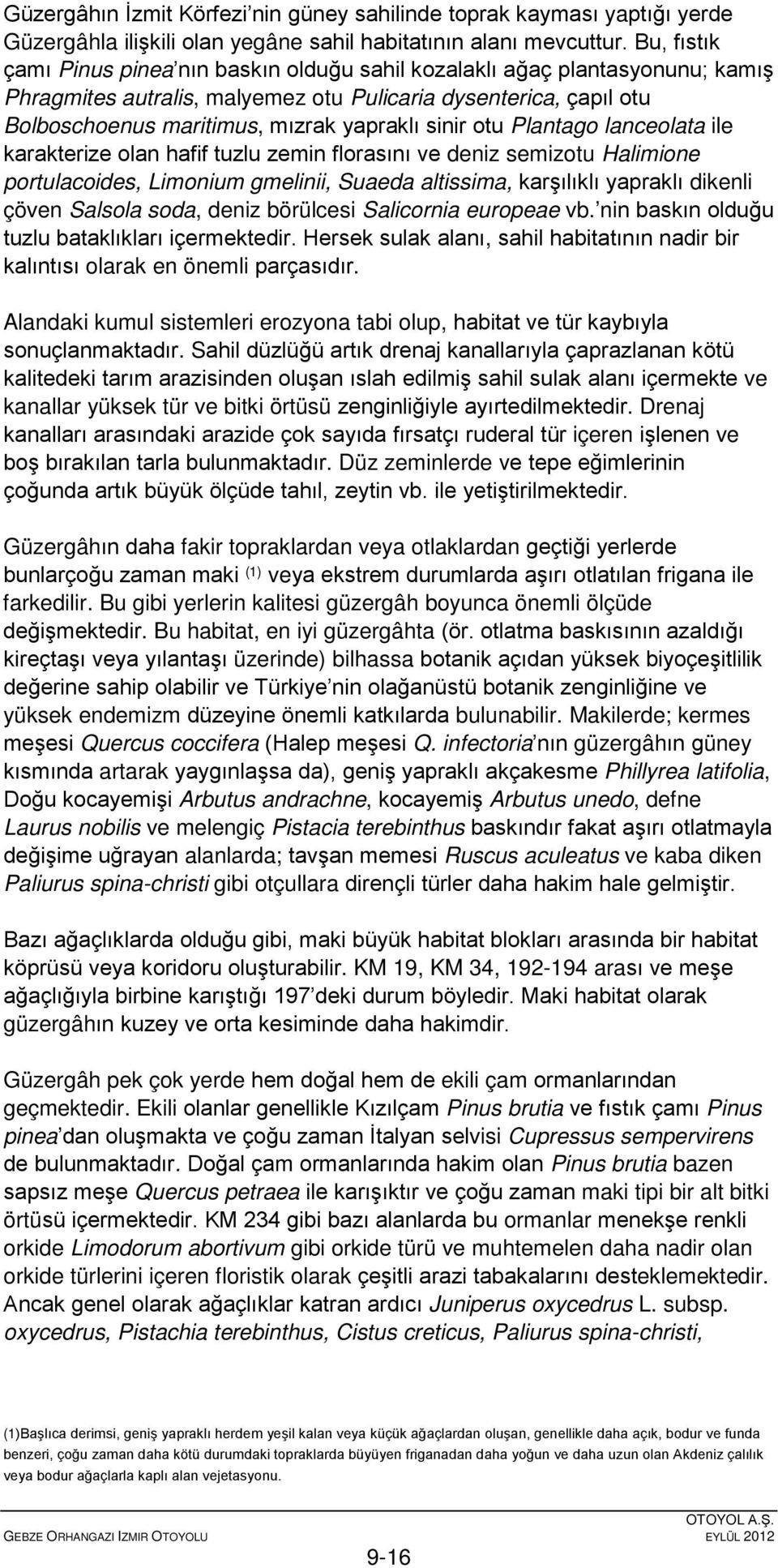 sinir otu Plantago lanceolata ile karakterize olan hafif tuzlu zemin florasını ve deniz semizotu Halimione portulacoides, Limonium gmelinii, Suaeda altissima, karşılıklı yapraklı dikenli çöven