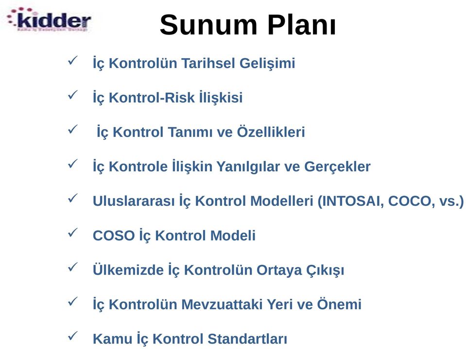 Kontrol Modelleri (INTOSAI, COCO, vs.