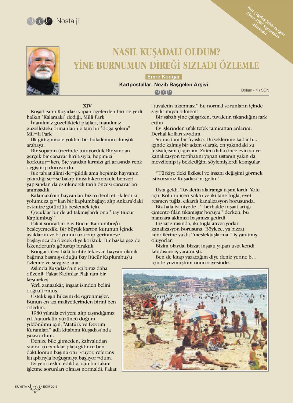 İnanılmaz güzellikteki plajları, inanılmaz güzellikteki ormanları ile tam bir "doğa şöleni" Mil li Park İlk gittiğimizde yoldan bir bukalemun almıştık arabaya.