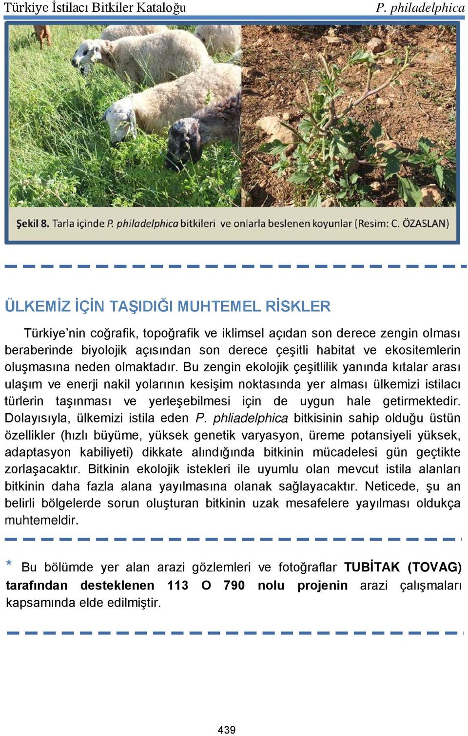 Bu zengin ekolojik çeşitlilik yanında kıtalar arası ulaşım ve enerji nakil yolarının kesişim noktasında yer alması ülkemizi istilacı türlerin taşınması ve yerleşebilmesi için de uygun hale