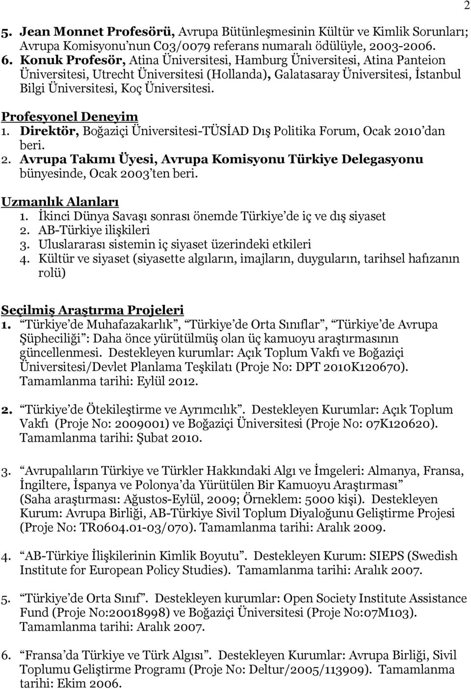 Profesyonel Deneyim 1. Direktör, Boğaziçi Üniversitesi-TÜSİAD Dış Politika Forum, Ocak 2010 dan beri. 2. Avrupa Takımı Üyesi, Avrupa Komisyonu Türkiye Delegasyonu bünyesinde, Ocak 2003 ten beri.