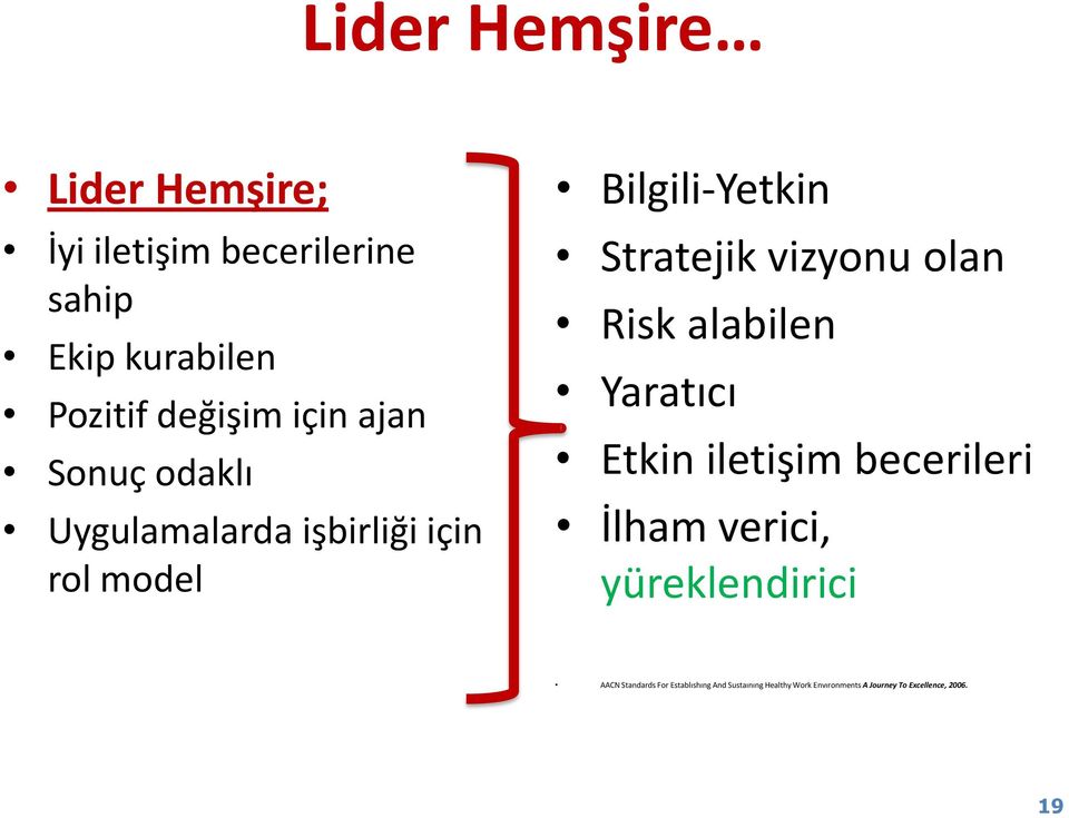 vizyonu olan Risk alabilen Yaratıcı Etkin iletişim becerileri İlham verici, yüreklendirici