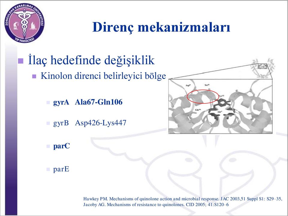 PM. Mechanisms of quinolone action and microbial response.