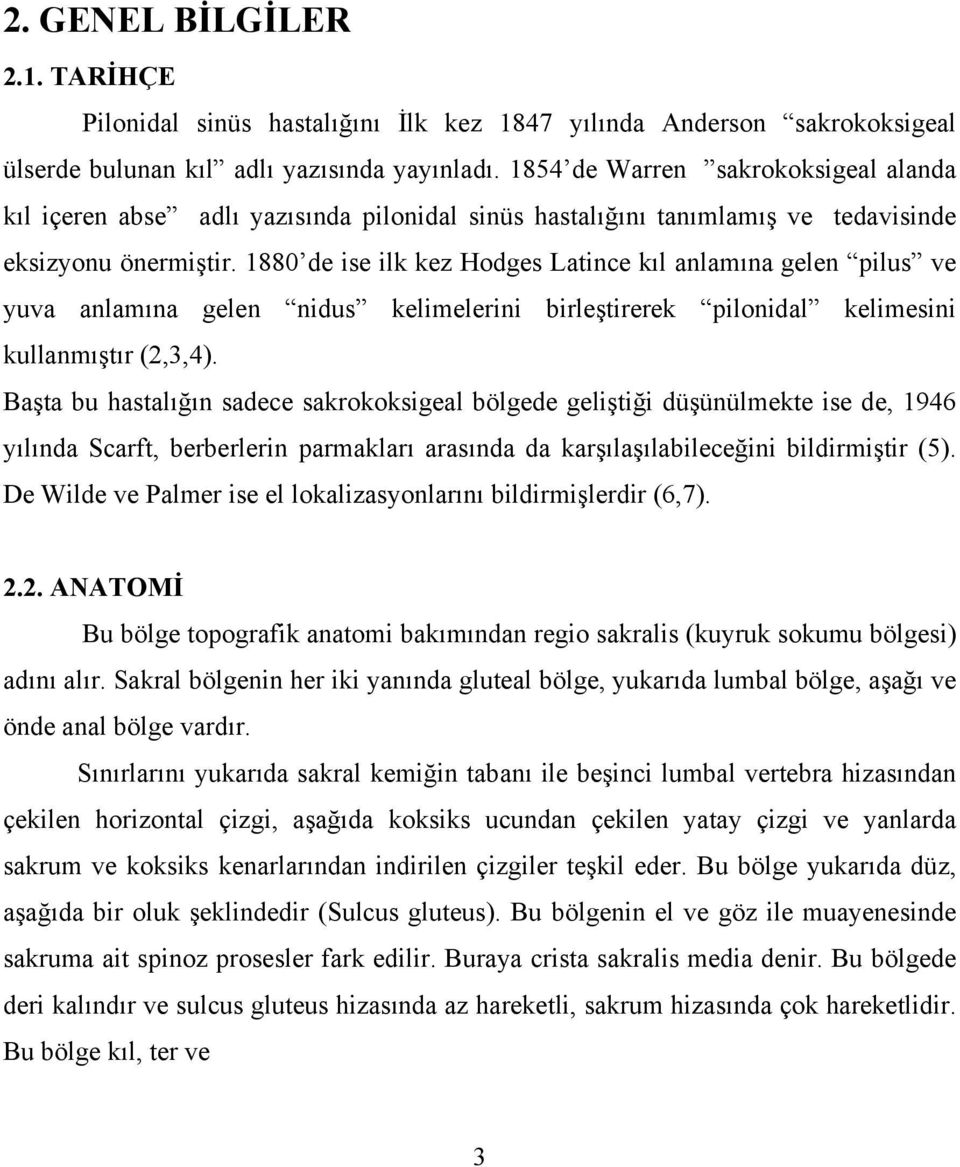 1880 de ise ilk kez Hodges Latince kıl anlamına gelen pilus ve yuva anlamına gelen nidus kelimelerini birleştirerek pilonidal kelimesini kullanmıştır (2,3,4).