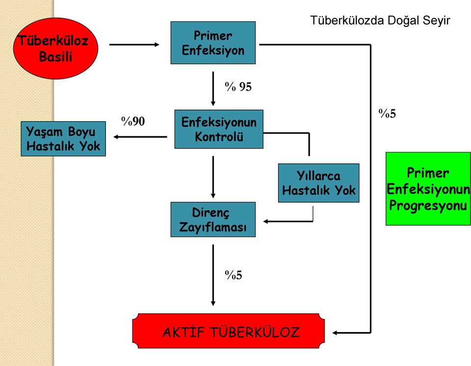 Enfeksiyonun Kontrolü %5 Direnç Zayıflaması Yıllarca