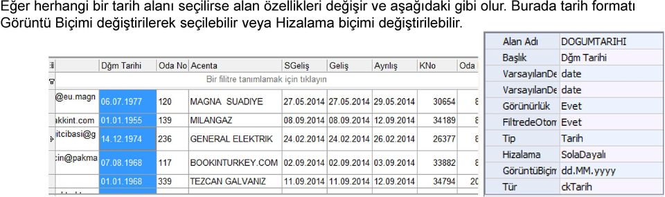 Burada tarih formatı Görüntü Biçimi